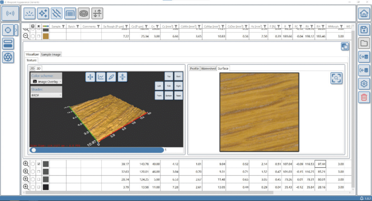 Texture module showing a colour-correct surface image rendered on 3D surface map.